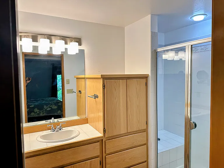 Master Bedroom ensuite bathroom