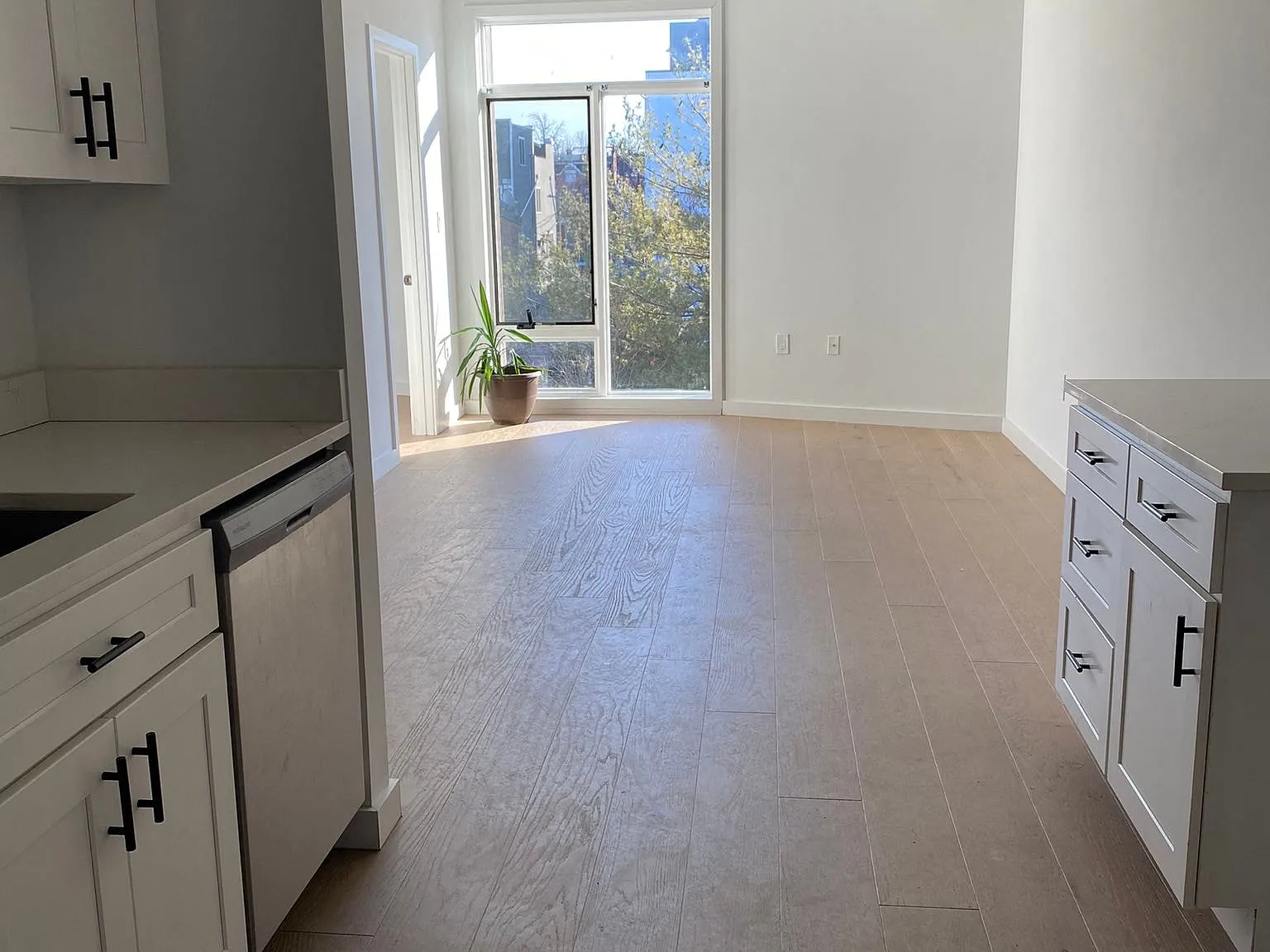 Modern 2-Bed, 1-Bath Gem in Award-Winning Building Prime DC Location Near Shopping & Metro! — Photo 1