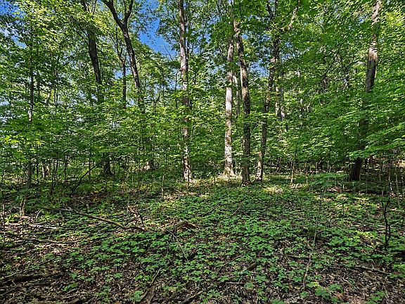 4th image of 13986 Peninsula Dr