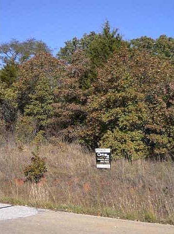 2nd image of Canaan Creek Rd Lot 14