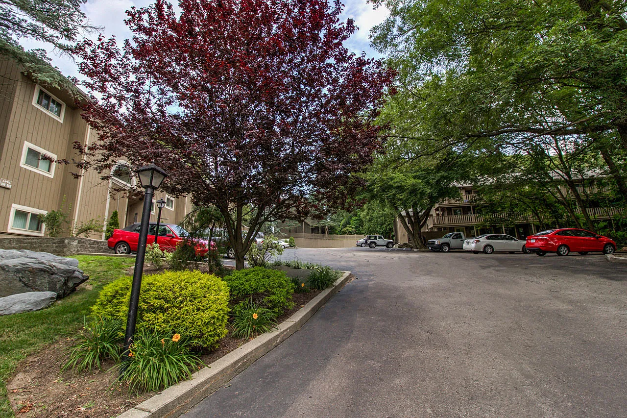 Meshanticut House — Photo 1