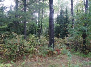 On Loop Rd, Tomahawk, WI 54487