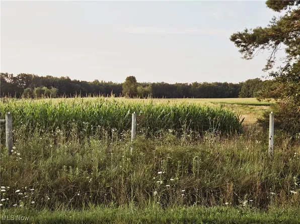 Helsey Fusselman Rd, Southington, OH 44470