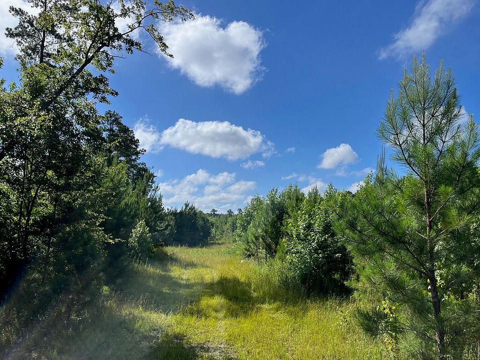 2nd image of Miles Rd