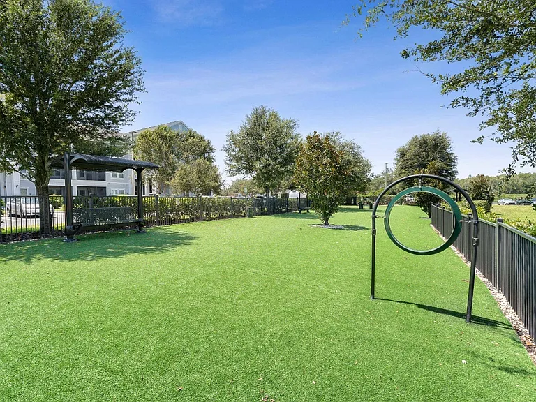 Dog Park
