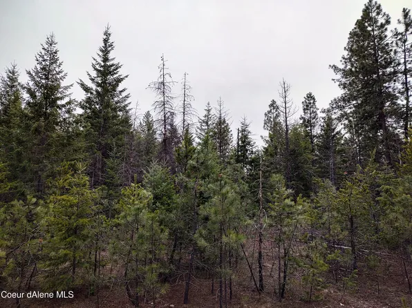 L1b104, Spirit Lake, ID 83869