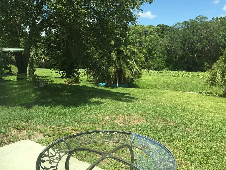 View from the sunroom facing the other direction