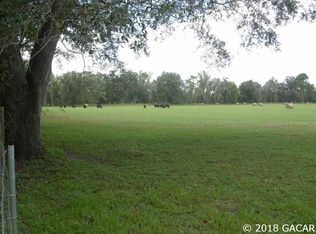 9116 NW 222nd Ave, Alachua, FL 32615