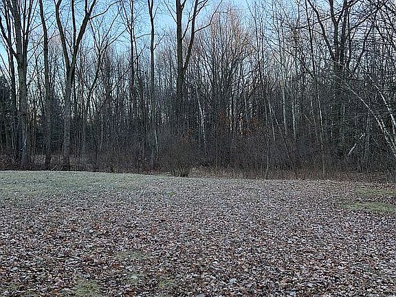 Part of the 18.7 wooded acre