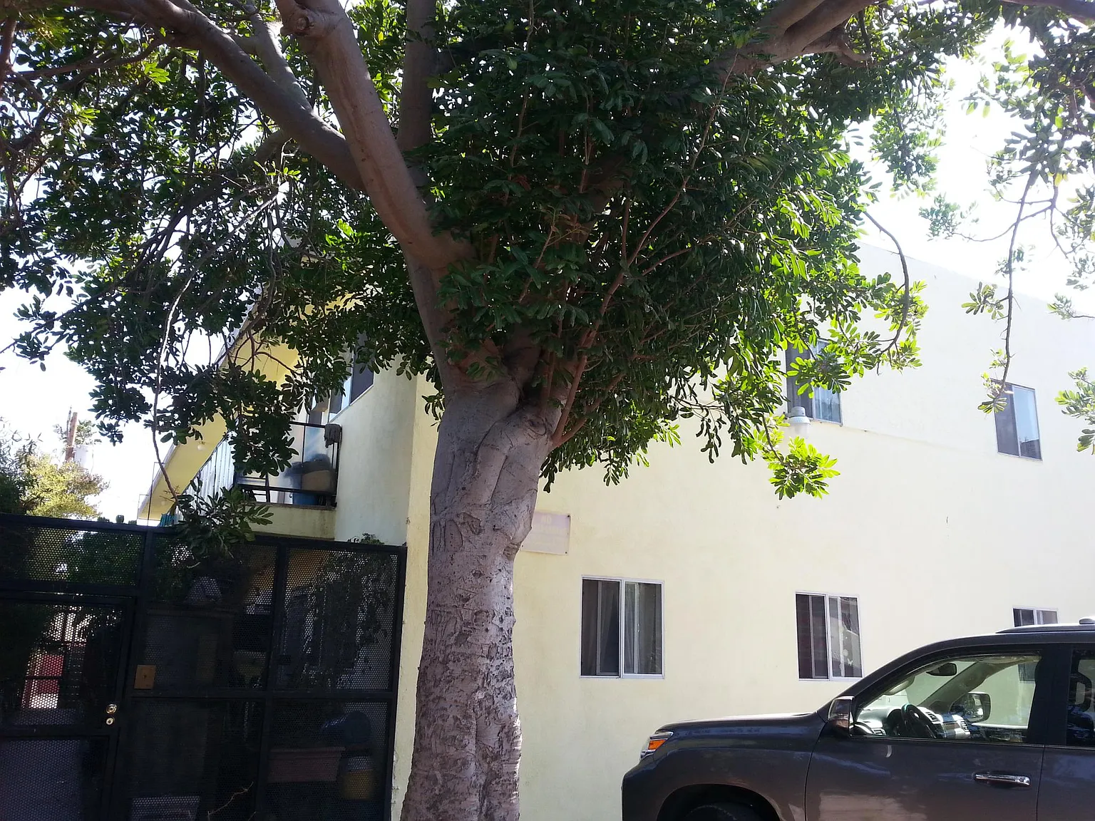 3 bed, 1000 sqft, $4,699 — Photo 2