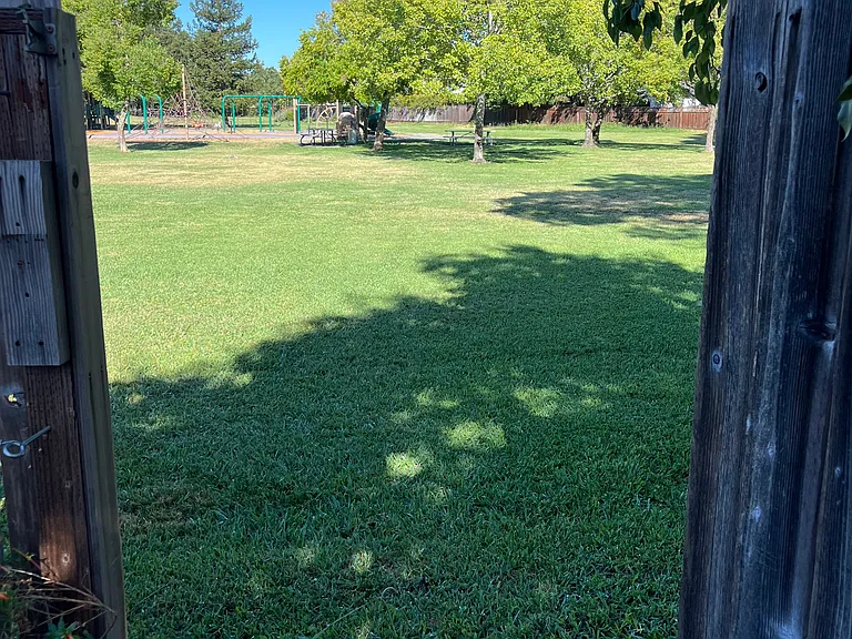 Gate leading from backyard to park