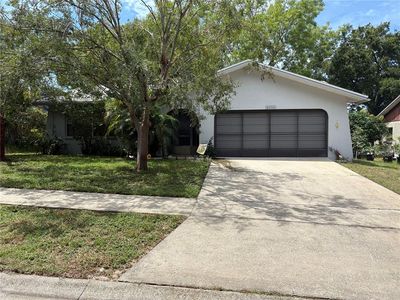 2256 E Orangehill Ave, Palm Harbor, FL, 34683