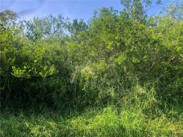 0 County Road 619, Skidmore, TX 78389