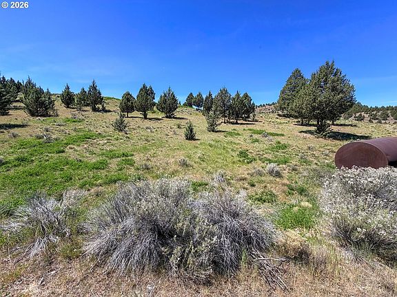 5th image of Luce Creek Rd