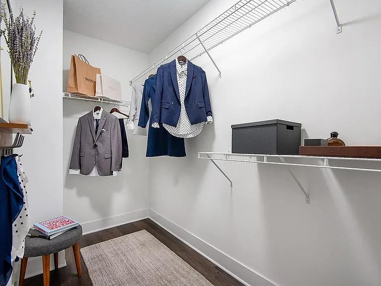 Left Bank Closet