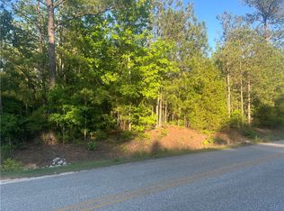 0 Lee Road 20, Auburn, AL 36830