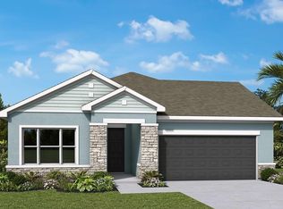 5263 Everlong Dr, Apollo Beach, FL 33572