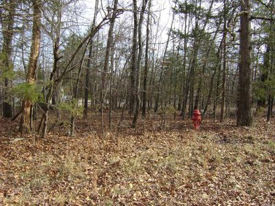 1410 Sleepy Hollow Dr, Horseshoe Bend, AR, 72512