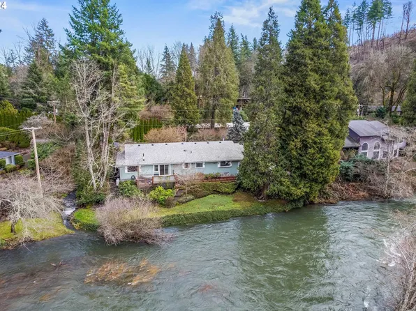 91070 Leashore Dr, Vida, OR 97488
