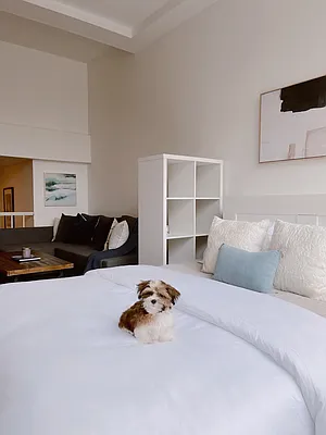 Sold by Compass | media 9