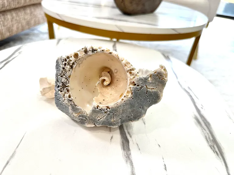 4225 N Highway A1A #17 — Photo 8