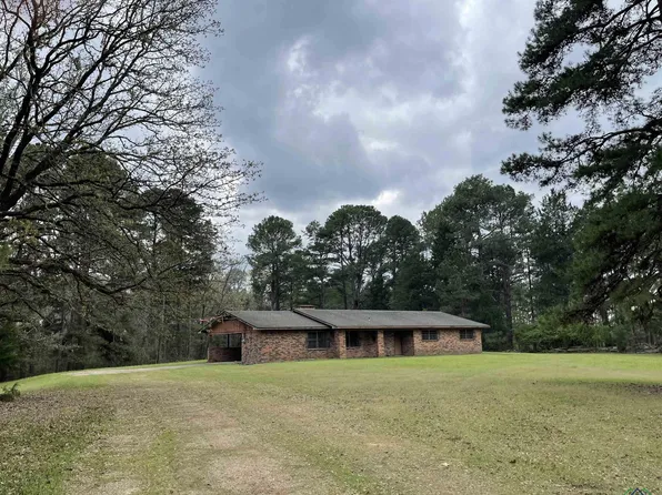 1521 Fm 2328, Atlanta, TX 75551