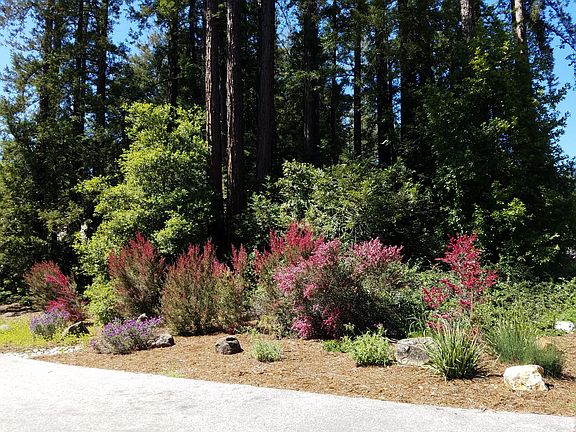 3rd image of 437 Henry Cowell Dr
