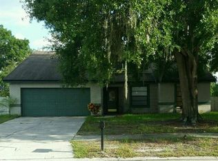12111 Fruitwood Dr, Riverview, FL 33569