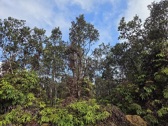 5th image of Alii Anela St Lot 426