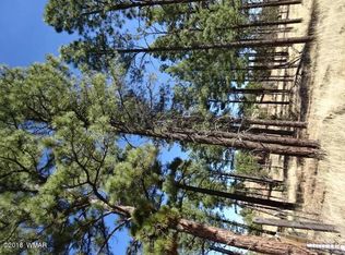 6573 Wapiti Way, Show Low, AZ 85901