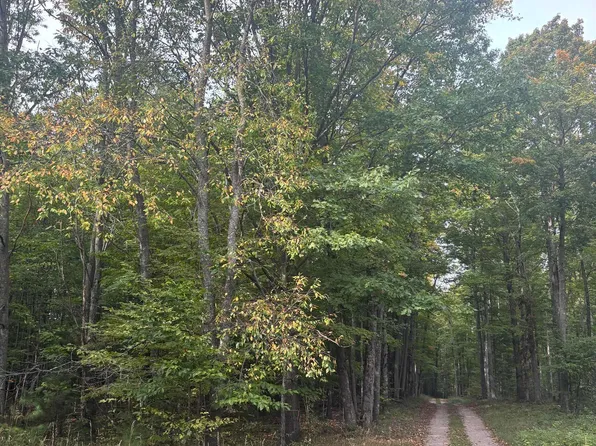 $925,000 — 0 S Fritz Rd, Empire MI
