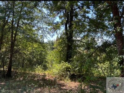 237 Pine Valley Rd, Texarkana, TX, 75501