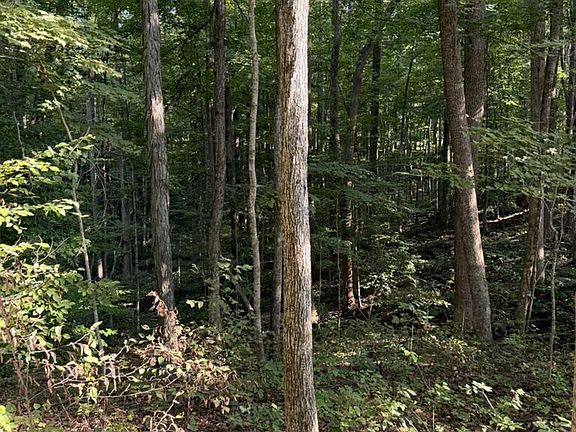 4th image of 1700 Canada Flatt Rd