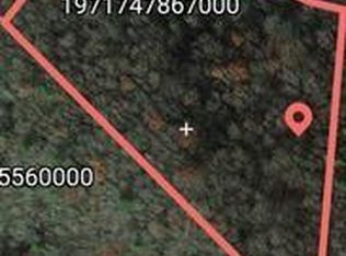 0 Mast Gap Rd TRACT 1, Sugar Grove, NC 28679