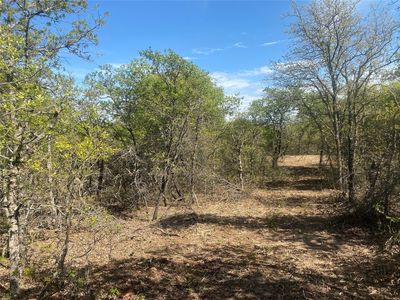 County Road 239, Rising Star, TX, 76471