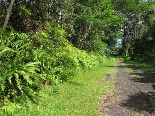 2nd image of Pahoa Rd Lot 646