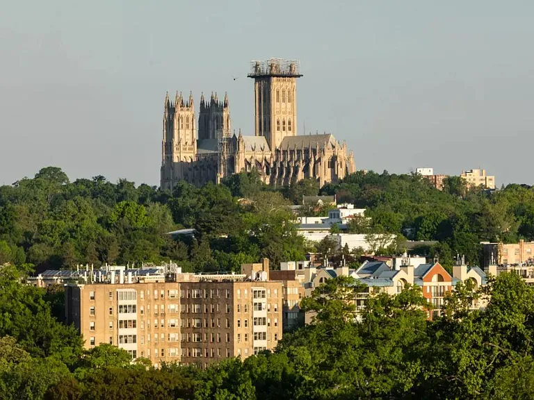 Cathedral Views