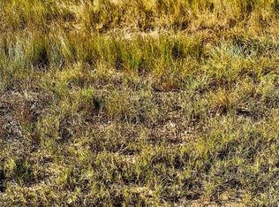 0 Palm St LOT 14, Freeport, TX 77541