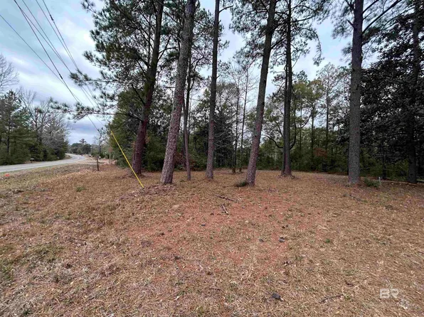 0 Chunchula Georgetown Rd #1 & 2, Chunchula, AL 36521