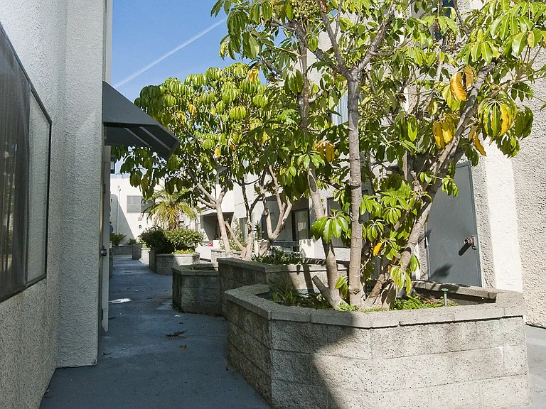 15602 Vanowen St #204 — Photo 5