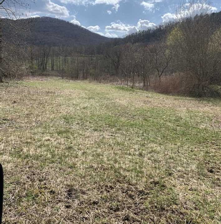4352 Route 22, Wassaic, NY 12592 | Zillow