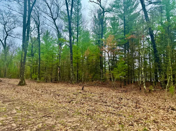 1127 Chicago Dr Lot 19, Whitehall, MI 49461