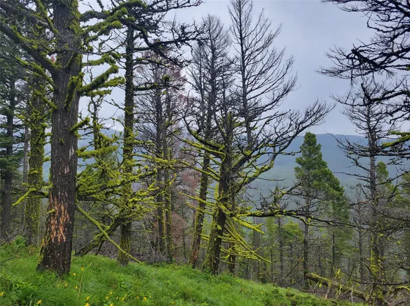 LOT 14 Charley Rd, Wolf Creek, MT 59648