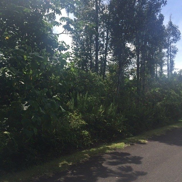 1st image of Silversword Ct Lot 6