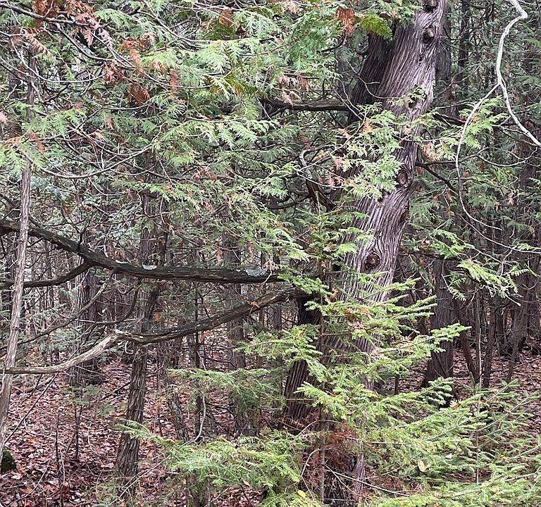 2nd image of Standing Stone Ln