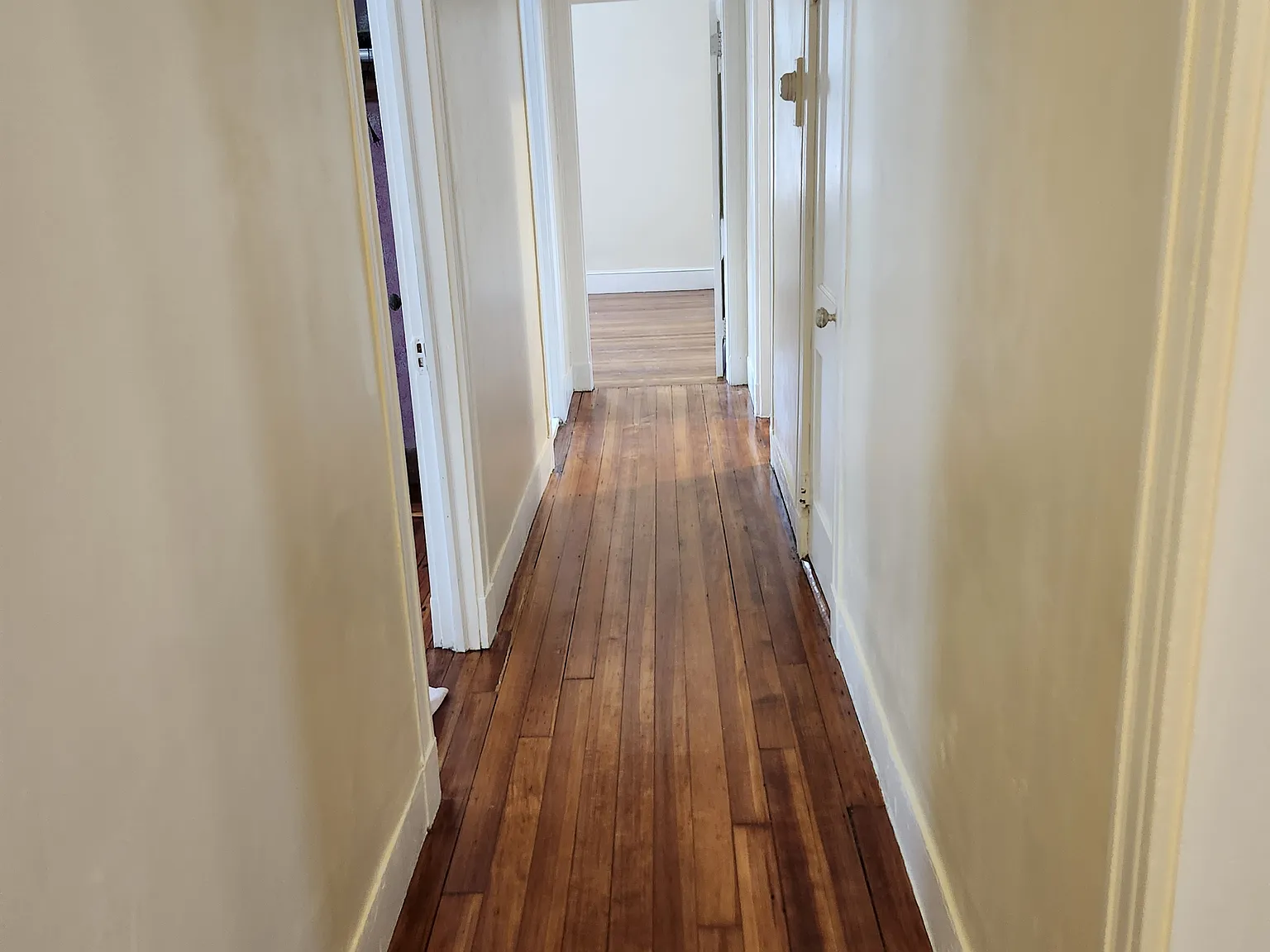 4 bed, 1300 sqft, $3,300 — Photo 3