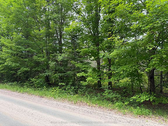 2nd image of 0 Starratt Rd