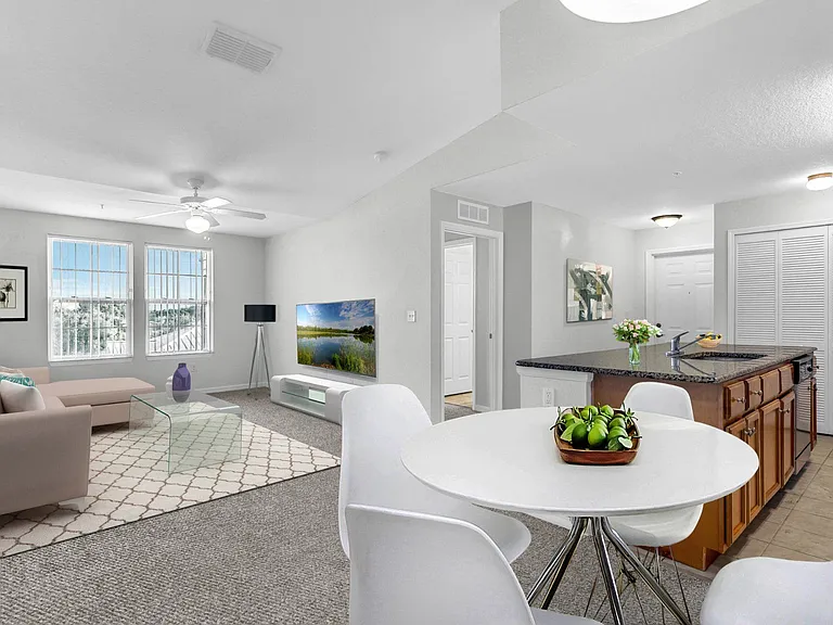 Dining/Living Area
