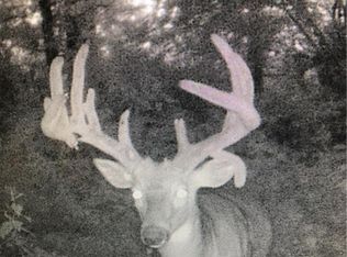 N6083 Dorwins Mill Rd, Durand, WI 54736