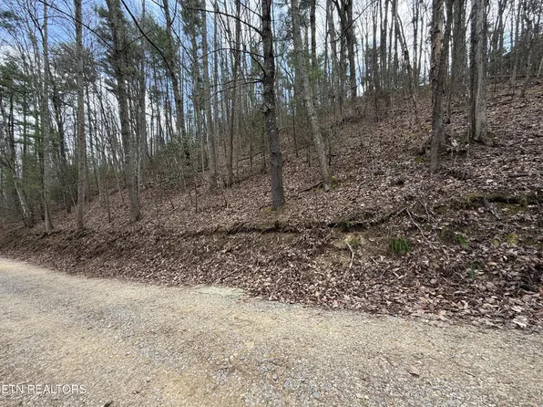 4.01 Reece Hollow Rd, Del Rio, TN 37727